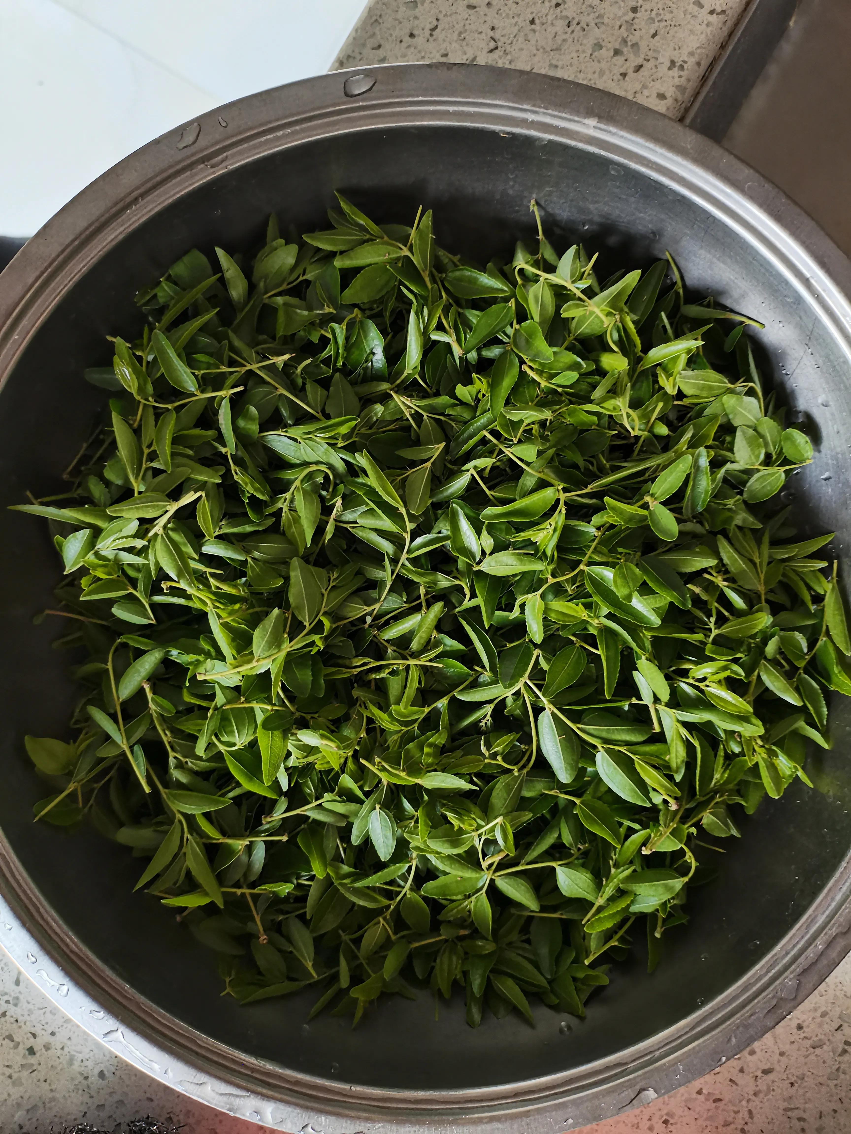 酸枣叶制茶做法,山上的野生酸枣叶可以采摘做茶吗