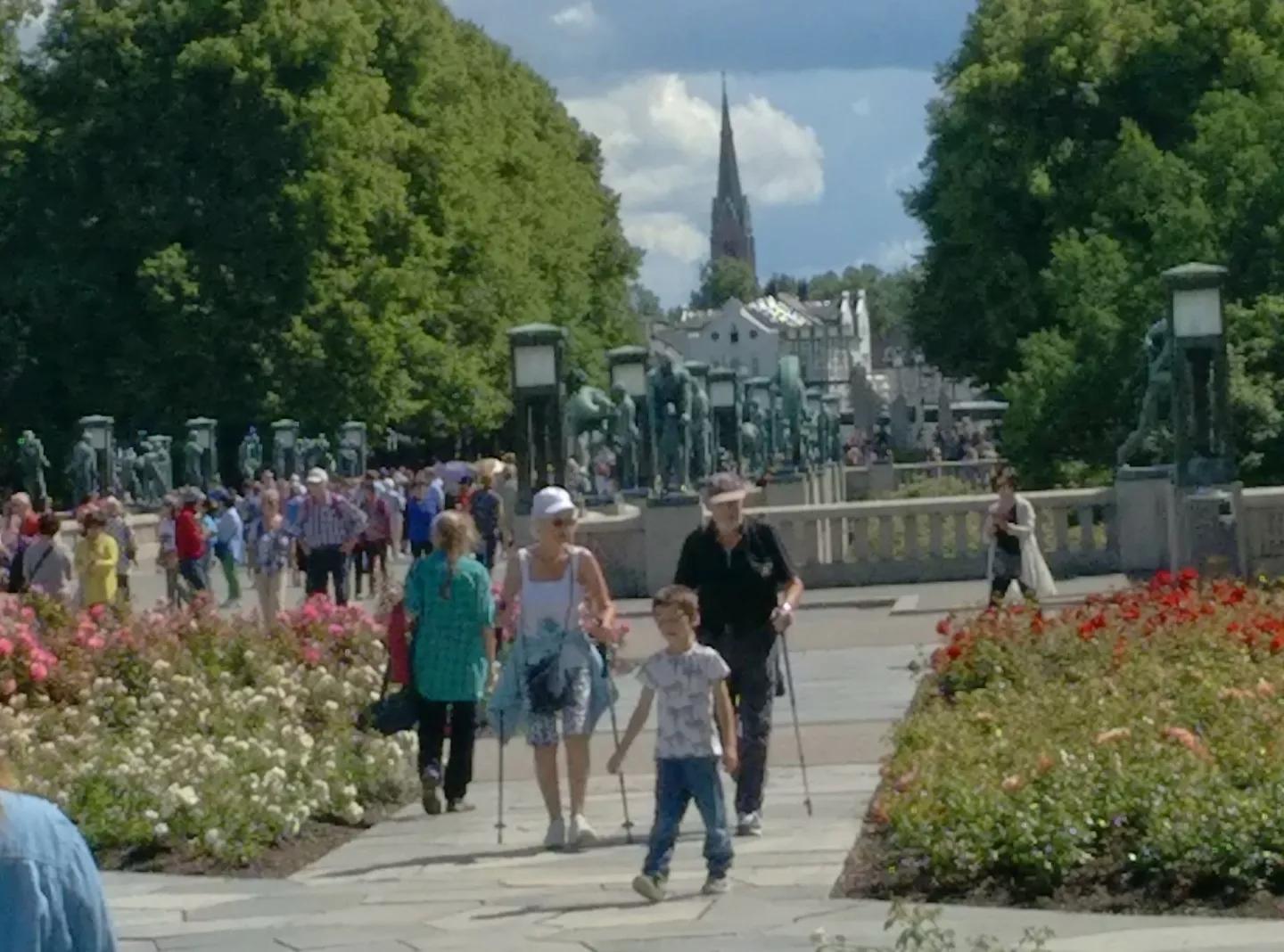 挪威为什么不加入欧盟,挪威为什么没加入欧盟