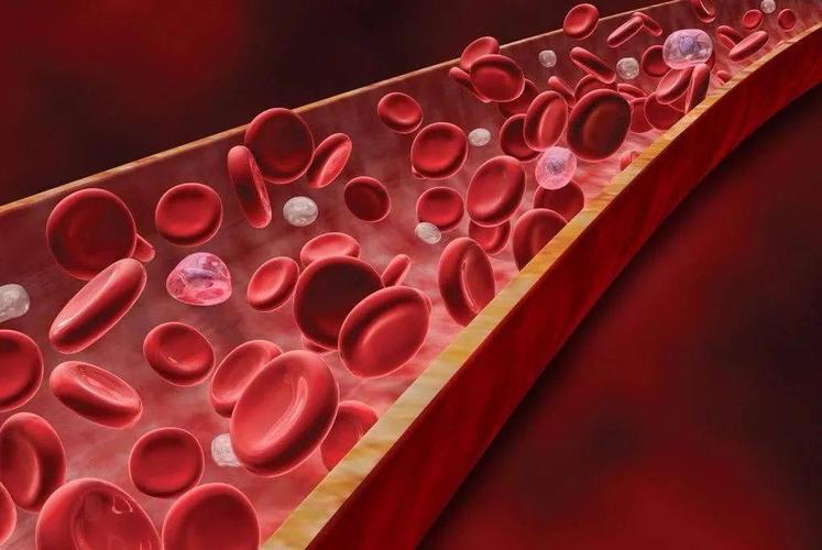 一勺猪油等于五副药,一勺猪油胜过十副药能治十几种病