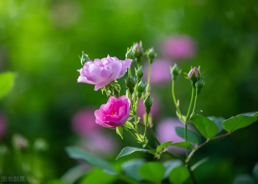 56岁阿姨陈述：老公中风后，日子反而过得比以前轻松自在了