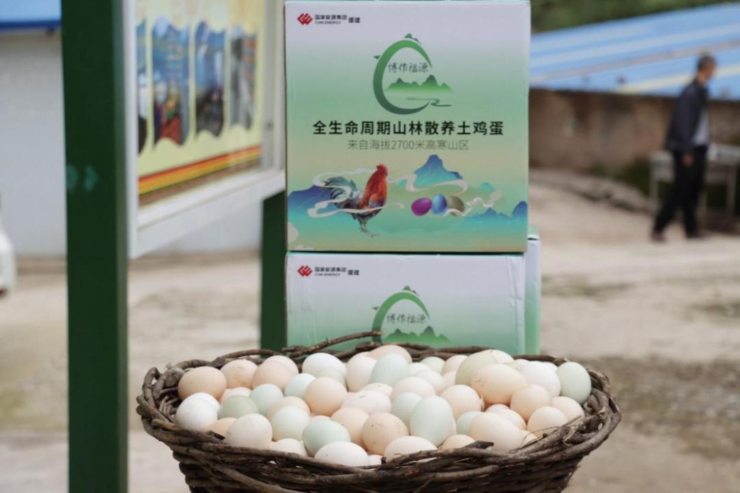 东西部共建产业园区,东西部协同发展