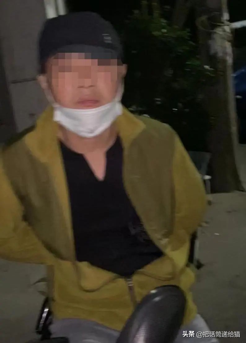 江苏偷猫事件,偷猫人被抓新闻