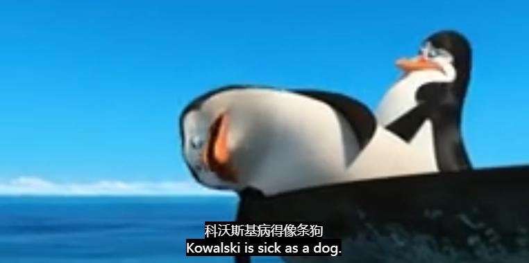 这届学生，开始在宿舍遛“纸狗”了