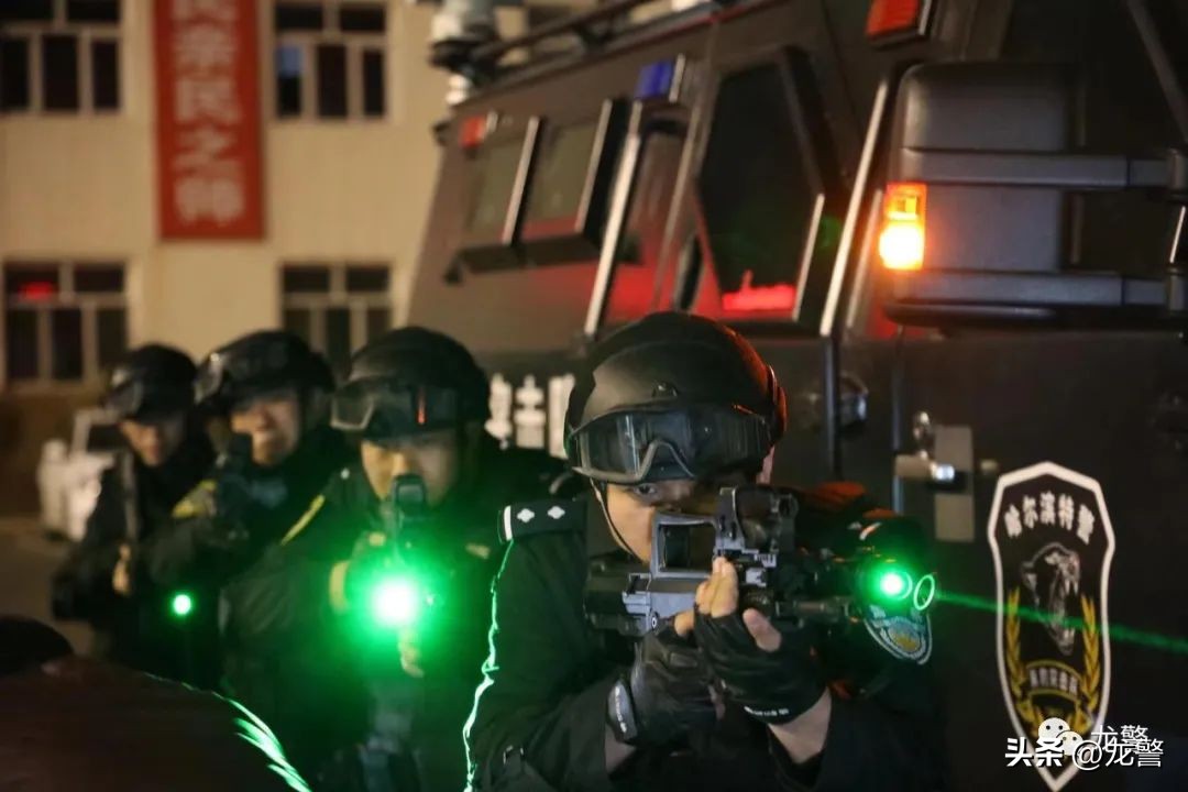 龙警十年，让高质量发展底色更亮