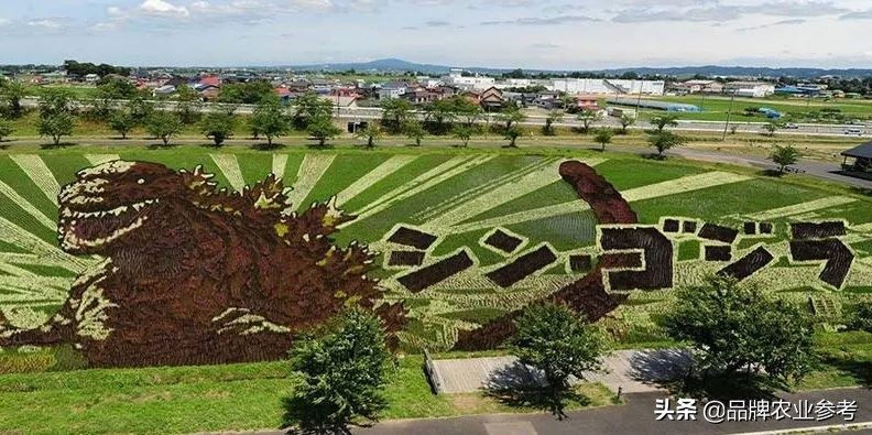 日本现代农业种植技术,日本精致农业的6个秘诀和8个案例