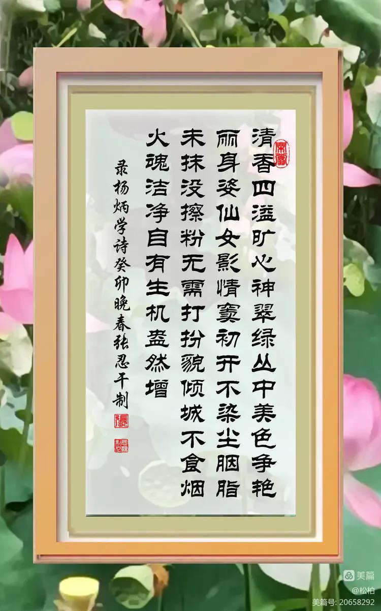 诗图战友情（九十五）荷花别样红