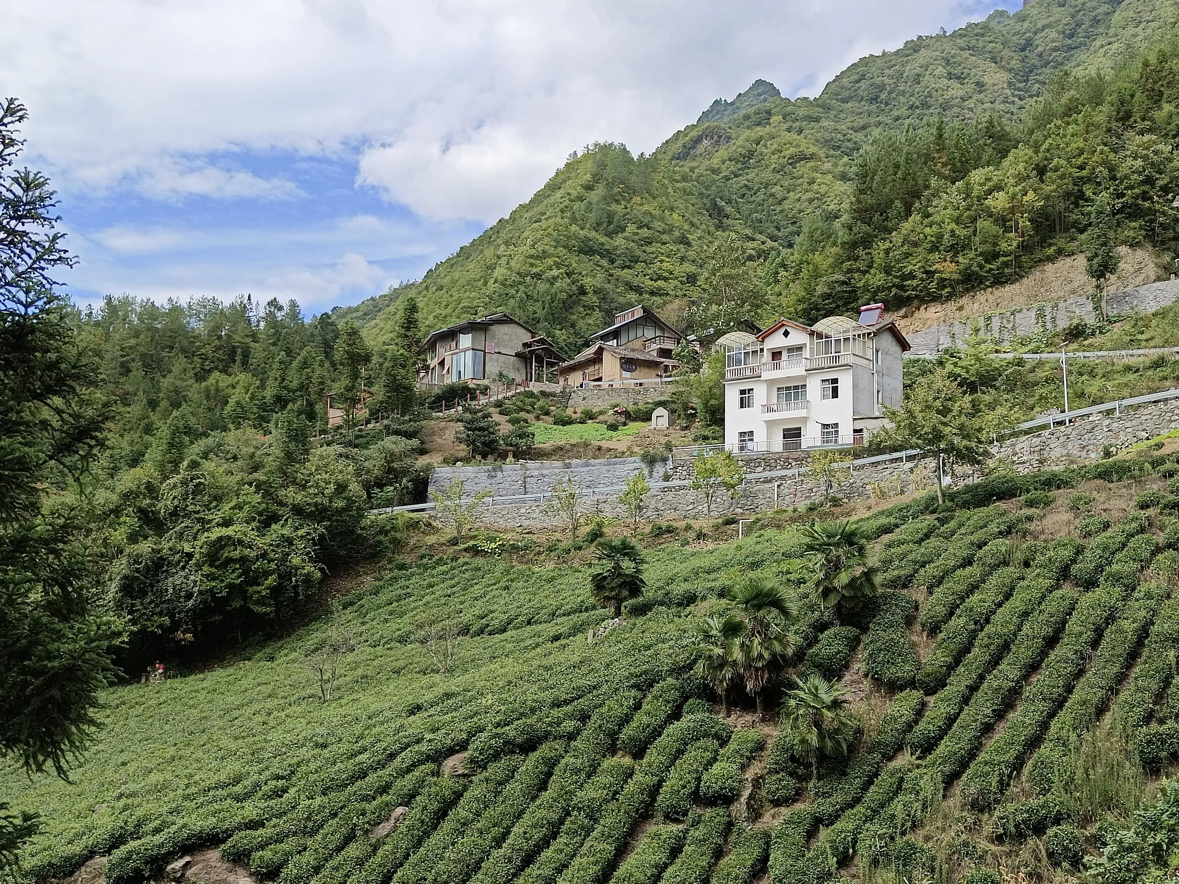神农架上的民宿,神农架风景民宿推荐