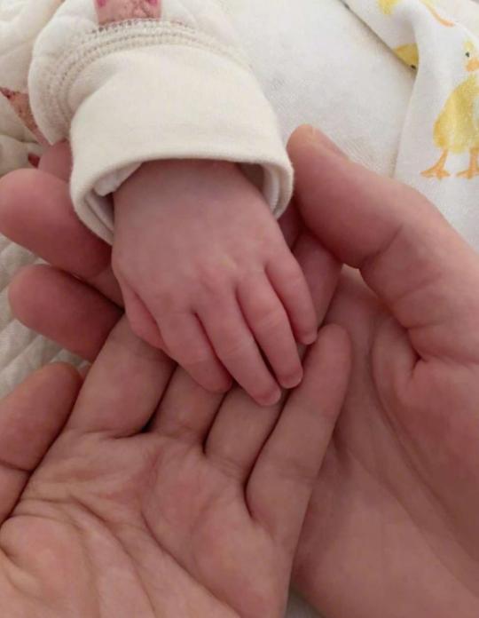 陈法拉薛世恒婚礼,陈法拉和前夫薛世恒有没有孩子