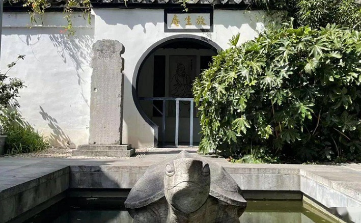 南京免费景点排行榜前十名,南京旅游年卡免费景点一览表