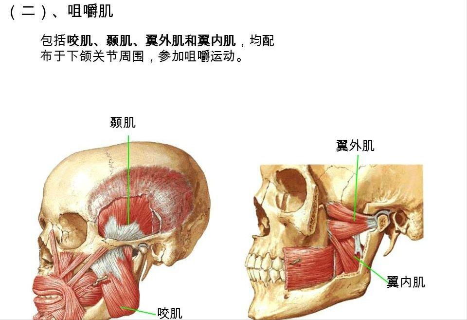 人类到底是原住民还是外星移民,人类是不是星际移民