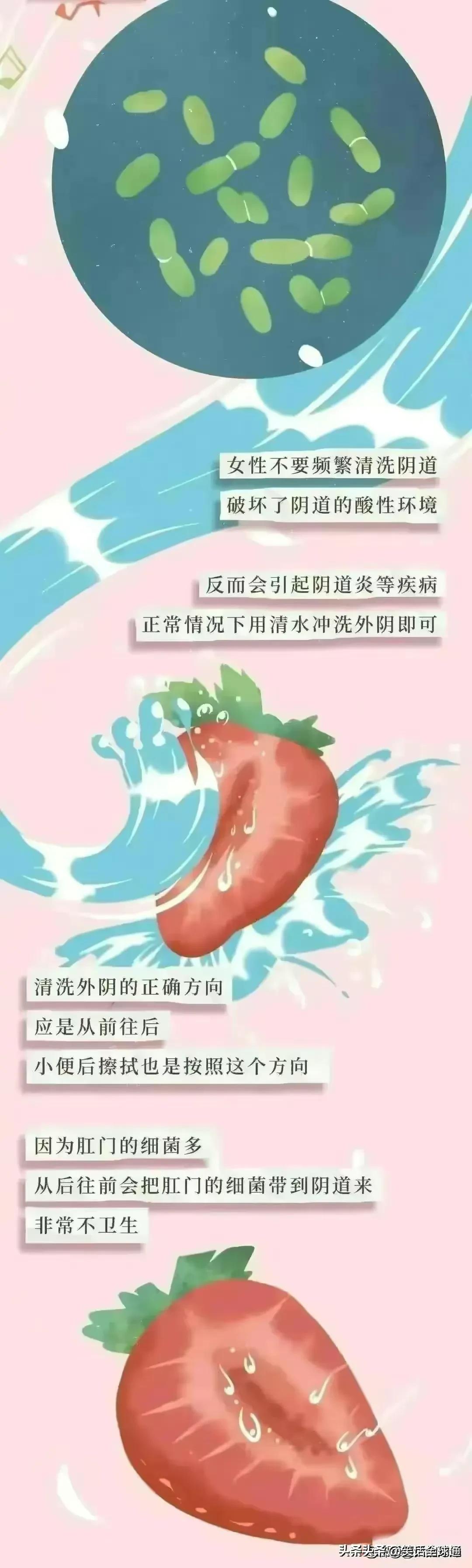 阴道是重要的器官，大家都要认真了解一下！