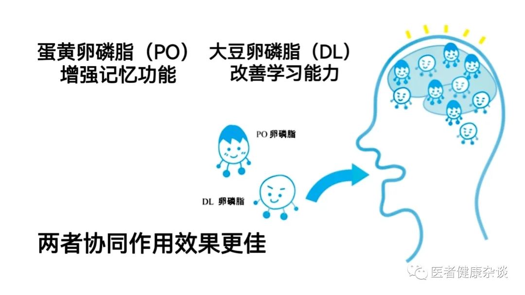 卵磷脂保健品有用吗,卵磷脂作为保健品要吃多久