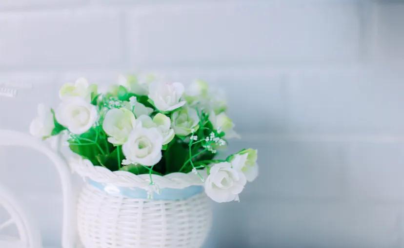 婆婆老想让我生儿子,婆婆想让我生男孩