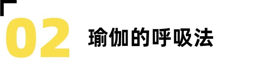 想去瑜伽店学瑜伽要了解什么,瑜伽种类全知道带你了解瑜伽