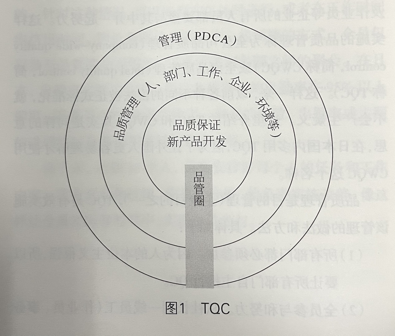 铜钱草水养的正确方法,铜钱草的图片