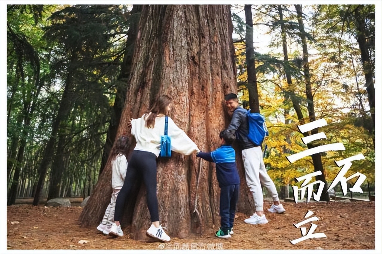 武磊最新冲突,武磊与梅西的故事