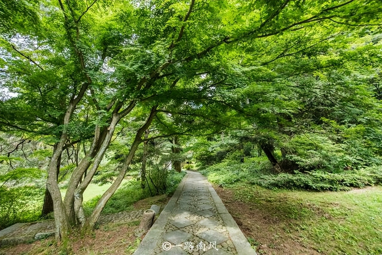 夏天避暑最佳旅游地庐山,江西庐山4天3夜旅游攻略