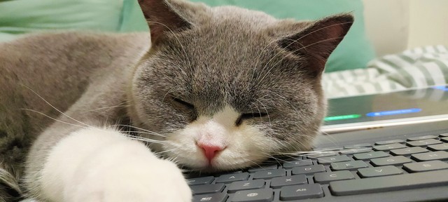 王者荣耀还是氪金荣耀？