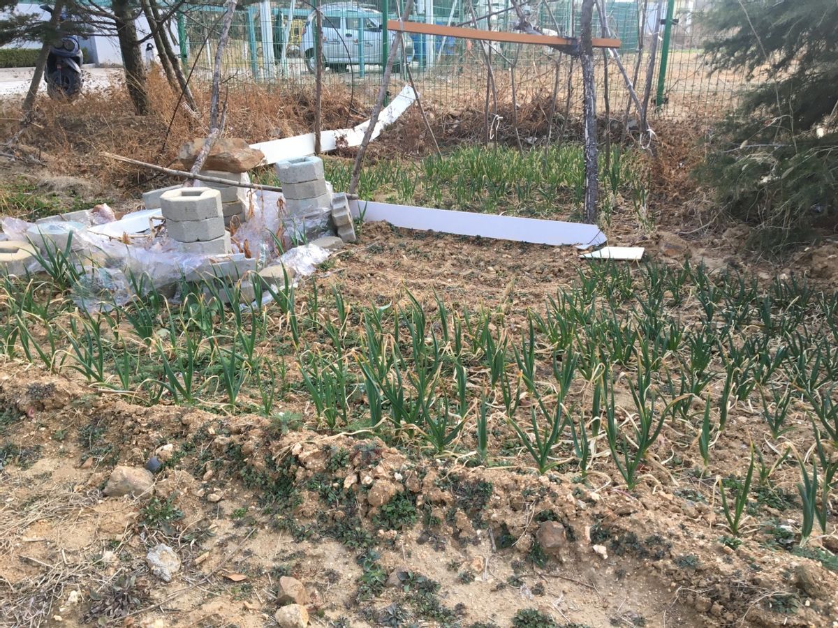 乳山银滩租房探坑记2——乳山银滩旅居日志20220319