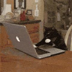 各品牌电脑u盘启动设置方法,dellinspiron5593笔记本u盘启动