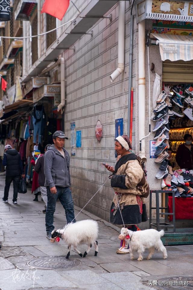 西藏拉萨旅游攻略必备,来西藏旅游博主