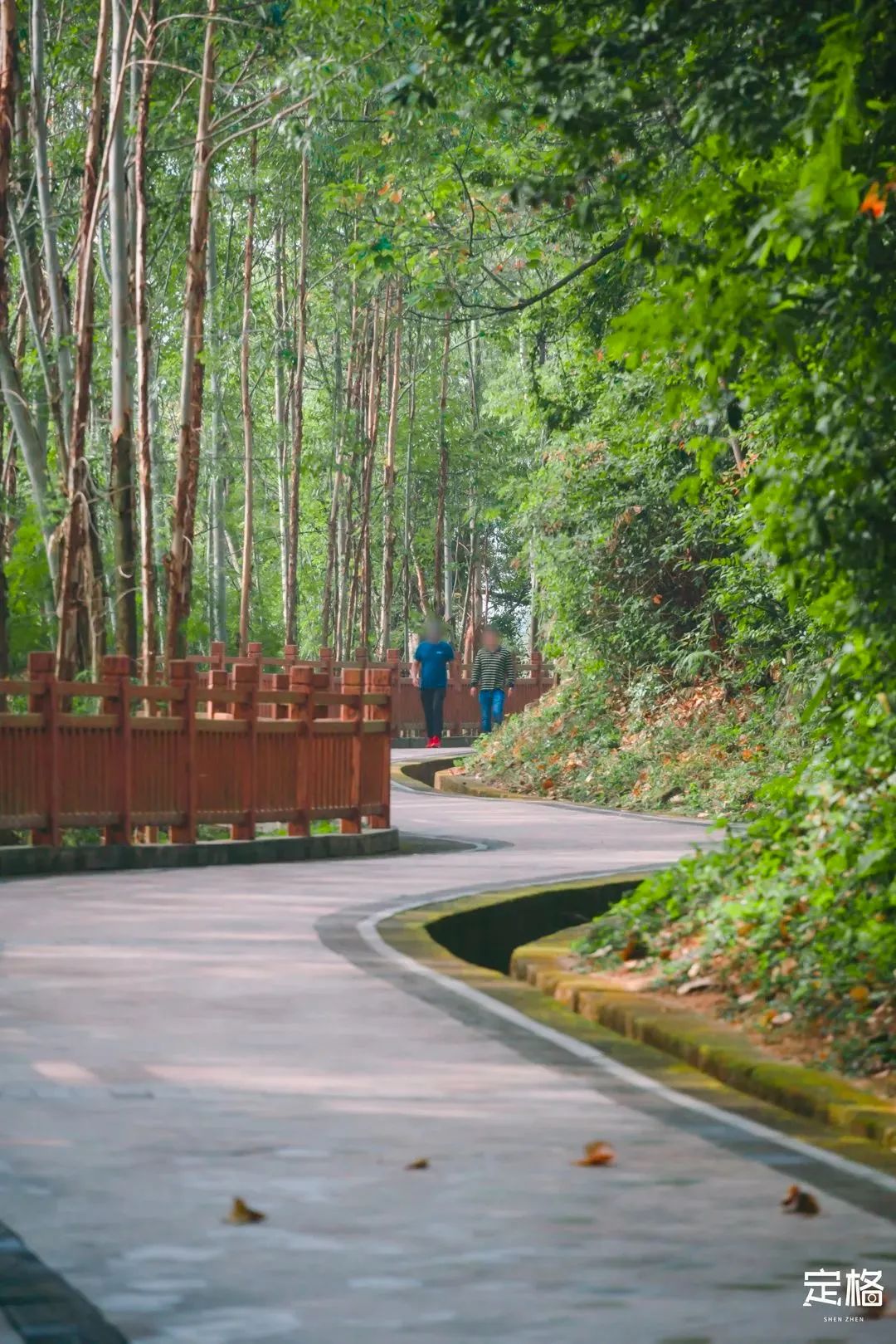 深圳周末带孩子免费游玩好去处,周末去哪玩推荐深圳