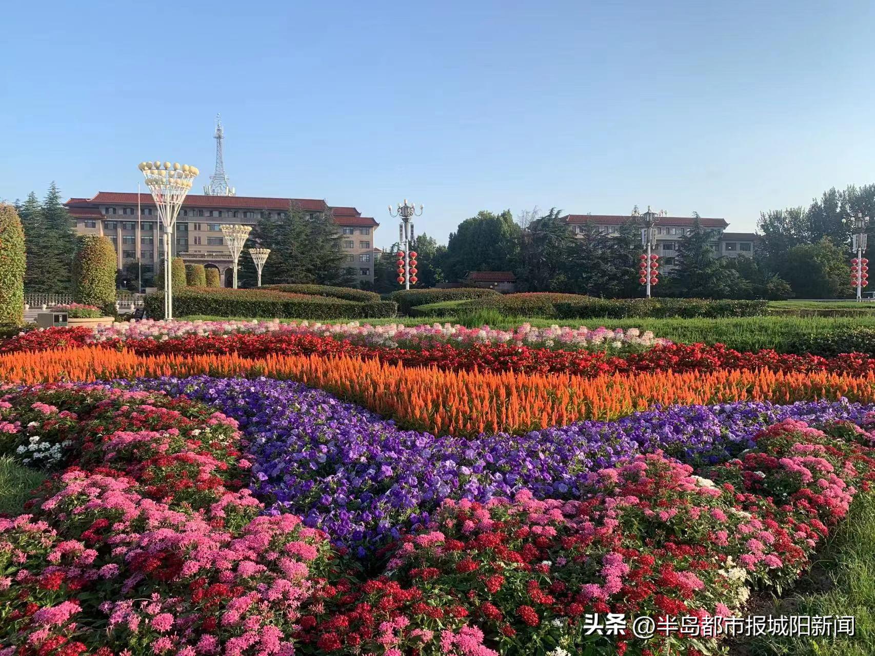 城阳区住房和城市建设管理局,城阳区城市住房建设管理局