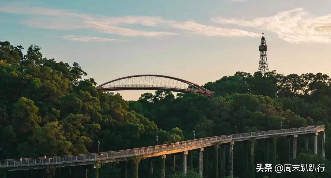 图书馆遛娃避暑好去处,图书馆夏天遛娃好地方