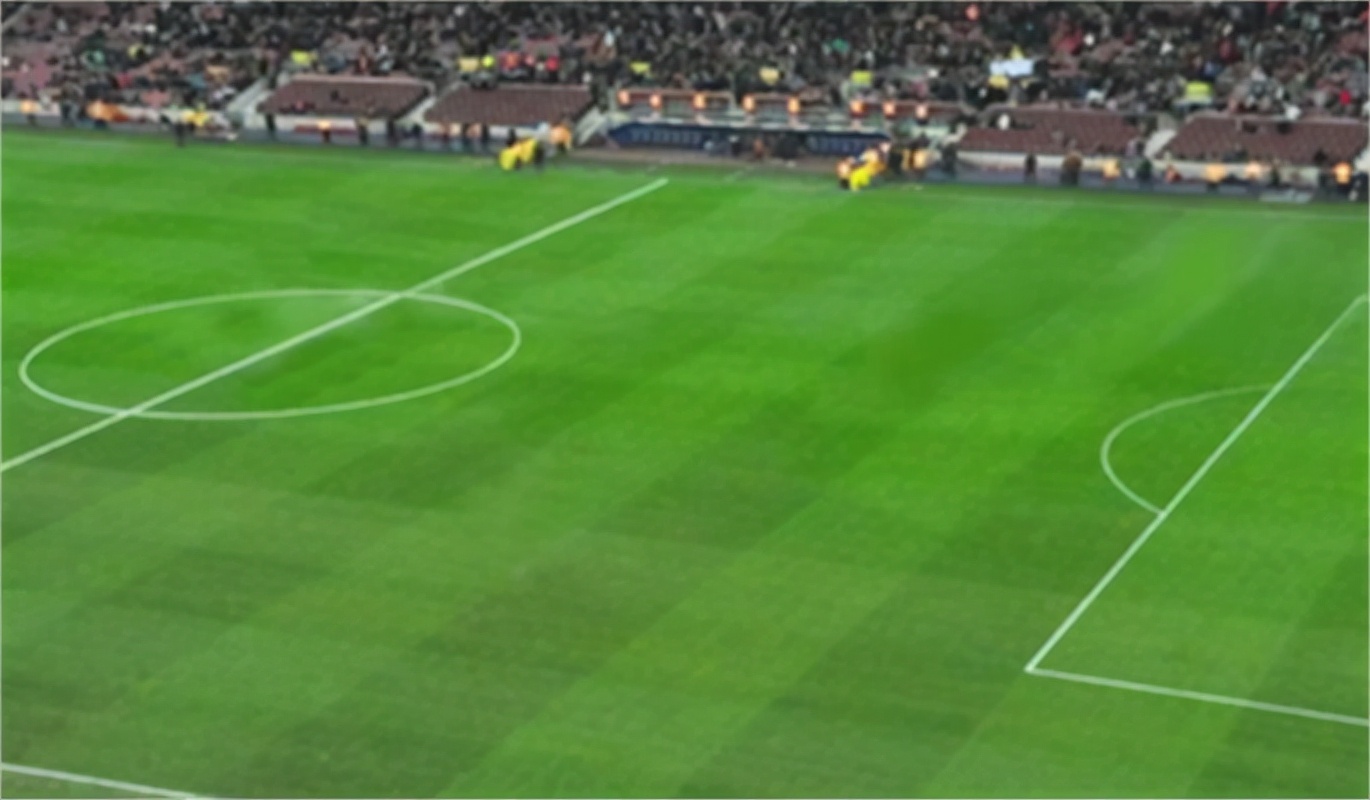 足球场的草皮分界线,足球场草坪地面深浅不同的原因