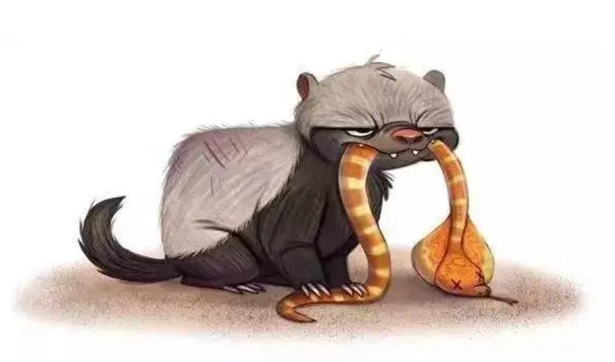 大鹅和平头哥,平头哥最新比赛谁赢了