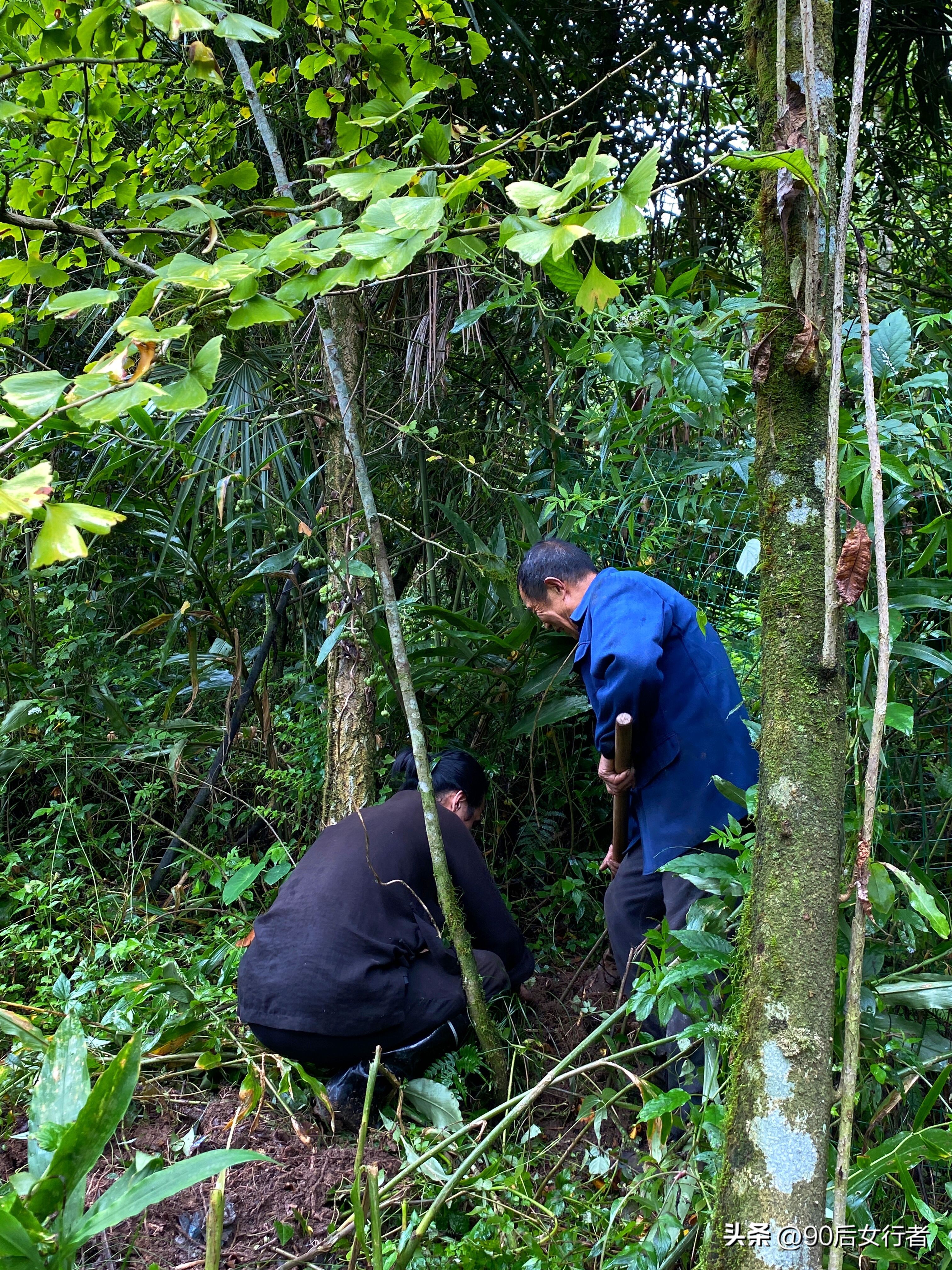 走进山间的小路感受大自然,成都深山老林旅游最好去处