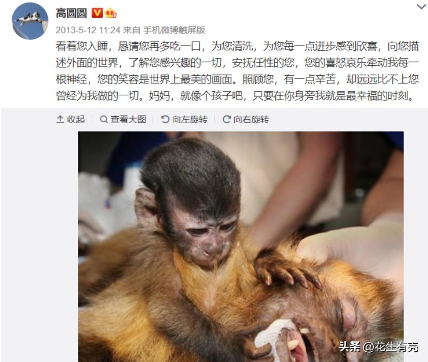 鍝綅鏄庢槦缇℃厱楂樺渾鍦嗚档鍙堝环,楂樺渾鍦嗚档鍙堝环鐨勭埍鎯呰浜虹尽鎱曞悧