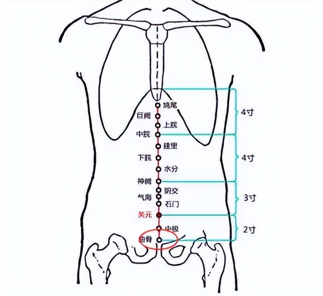 尿液反流怎么引起的,尿液反流怎么造成的
