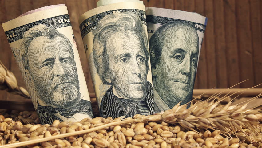 美国大豆订单最新,中国从美国采购340万吨大豆