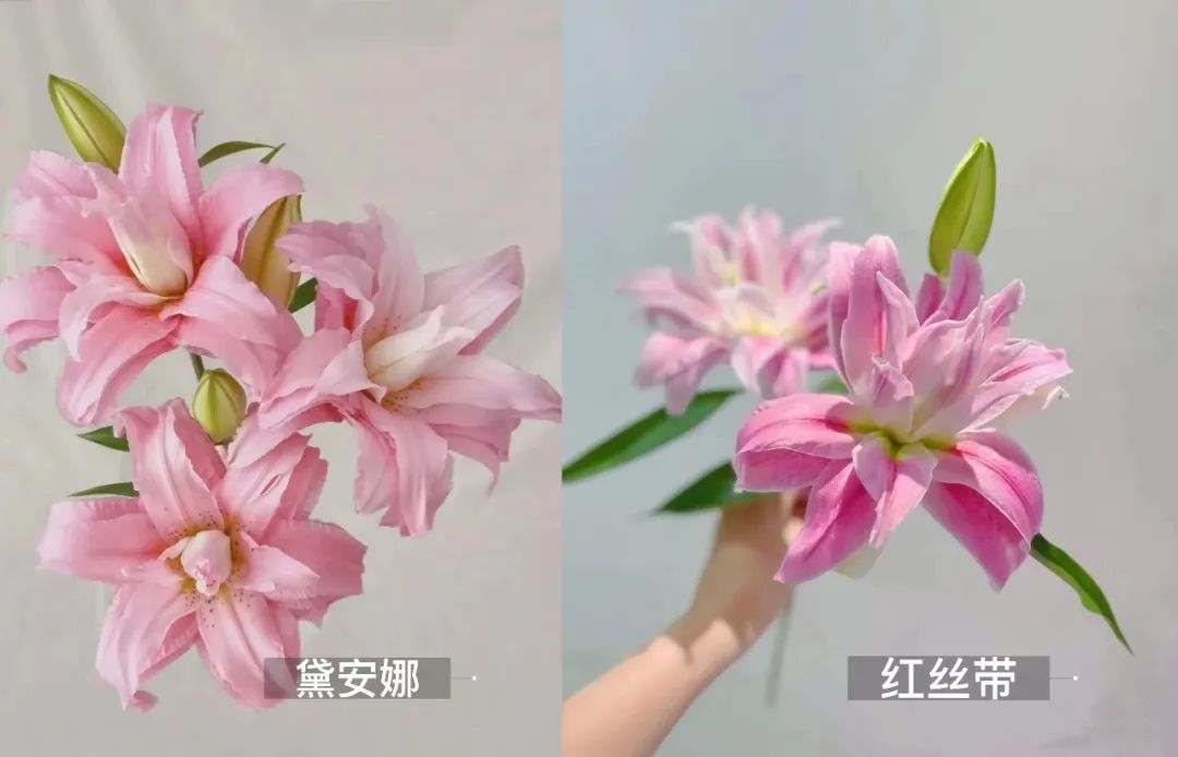 那些没说出口的话就留在心里,那些没说出口的话就藏在心里吧