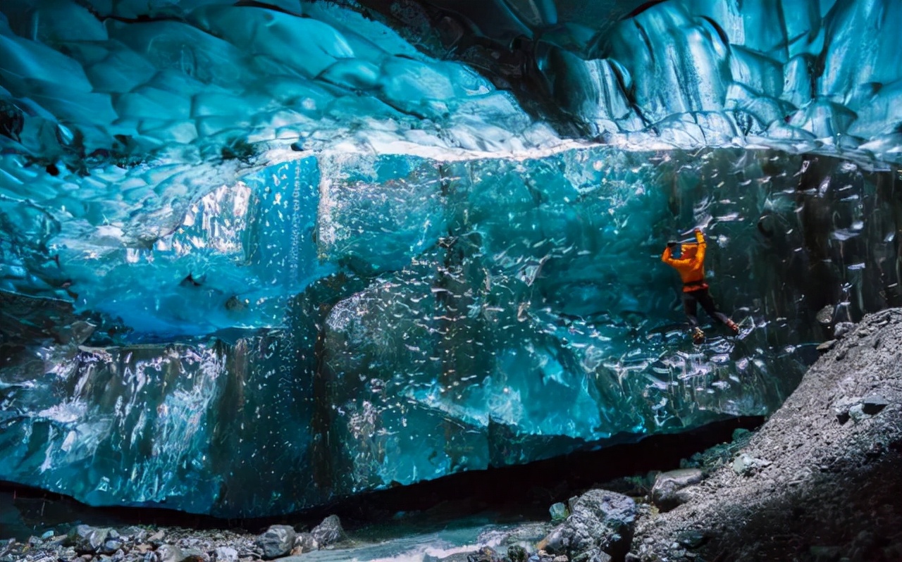 第一个用无人机拍到的鲸鱼,鲸鱼萤火虫