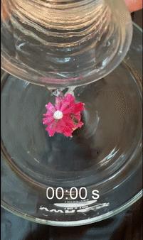 华南理工高分子材料研发项目,华南理工高分子材料突破