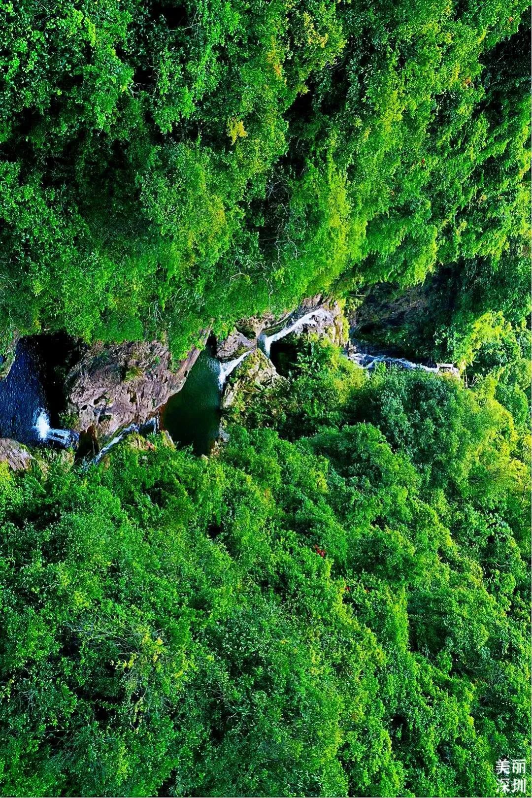深圳莲花山公园航拍,航拍深圳凤凰山公园
