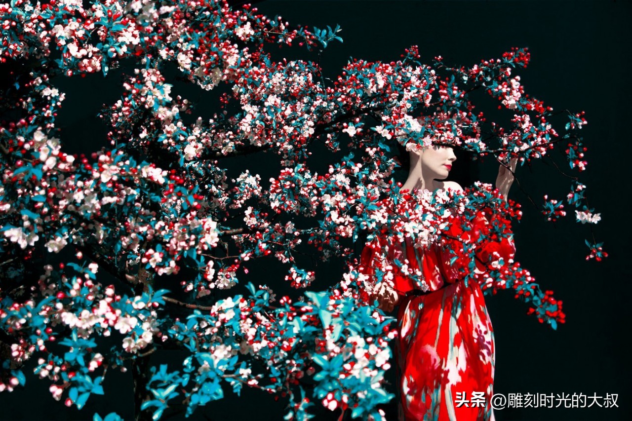 ai摄影师获奖,ai和摄影结合的摄影师