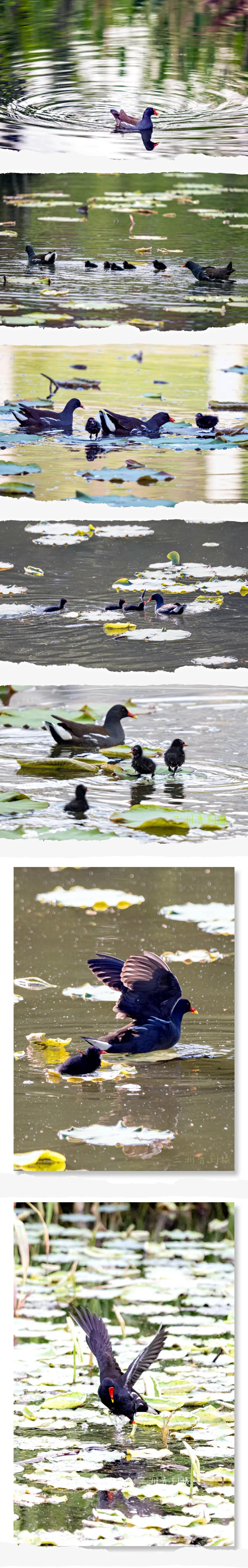 上海市嘉定区安亭国际汽车城,上海嘉定安亭国际汽车城