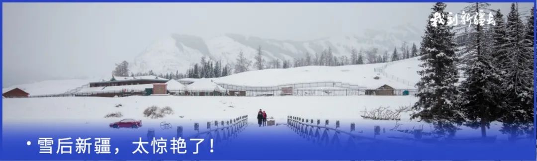 入疆旅游攻略,环疆旅游攻略大全