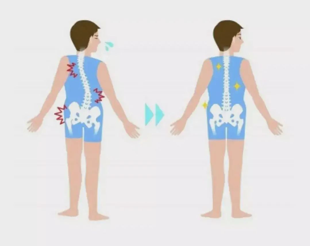 体测仪数据怎么看体脂率,体测表怎么看数据