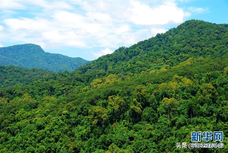 景洪夜景最好的地方,景洪边境是在什么地方