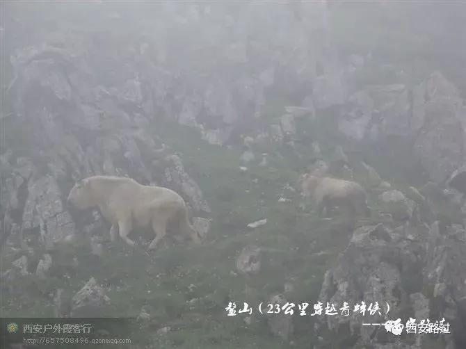 鳌山青峰峡,鳌山穿越要几天