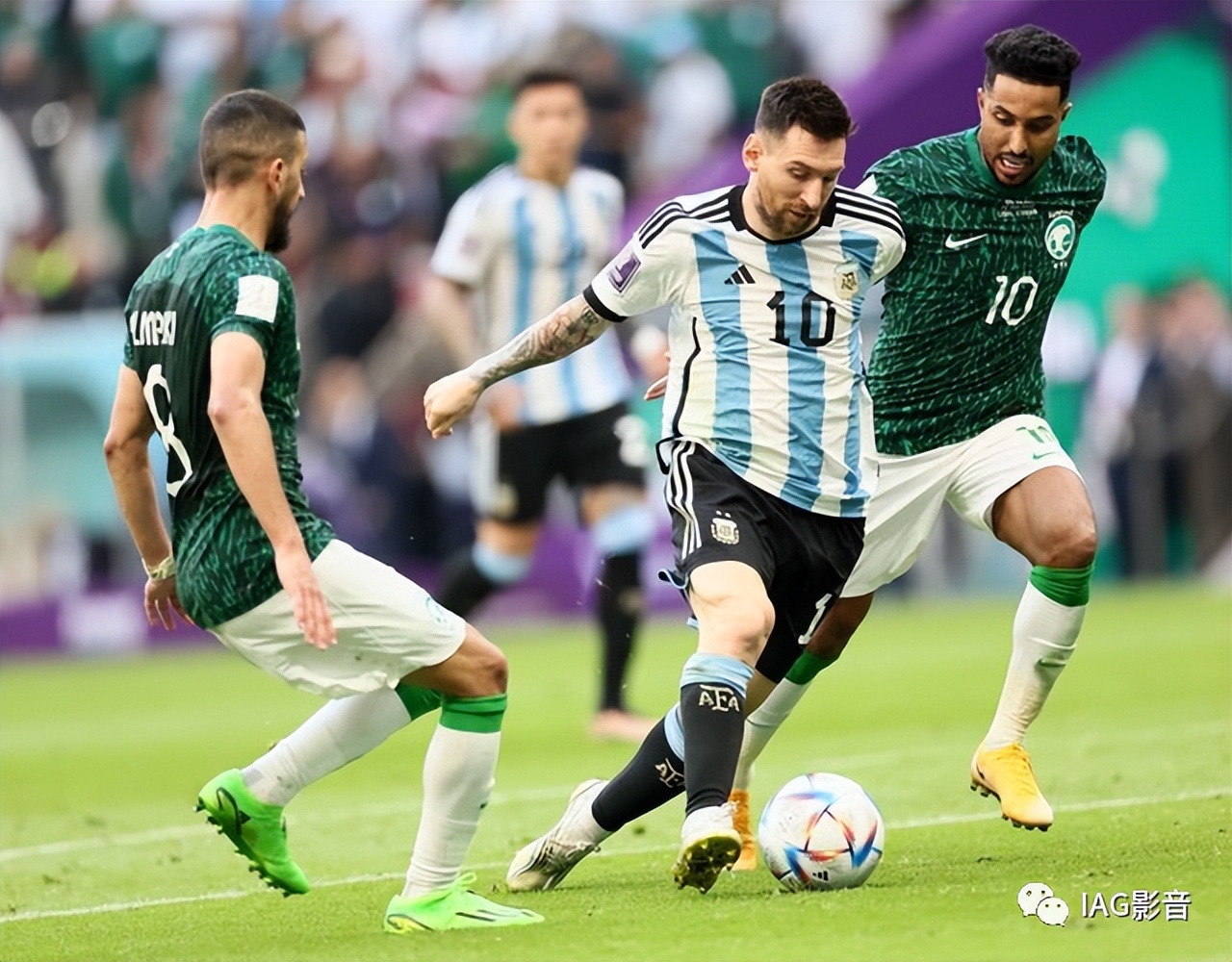 乐富豪wharfedale音响,wharfedale乐富豪85周年纪念版