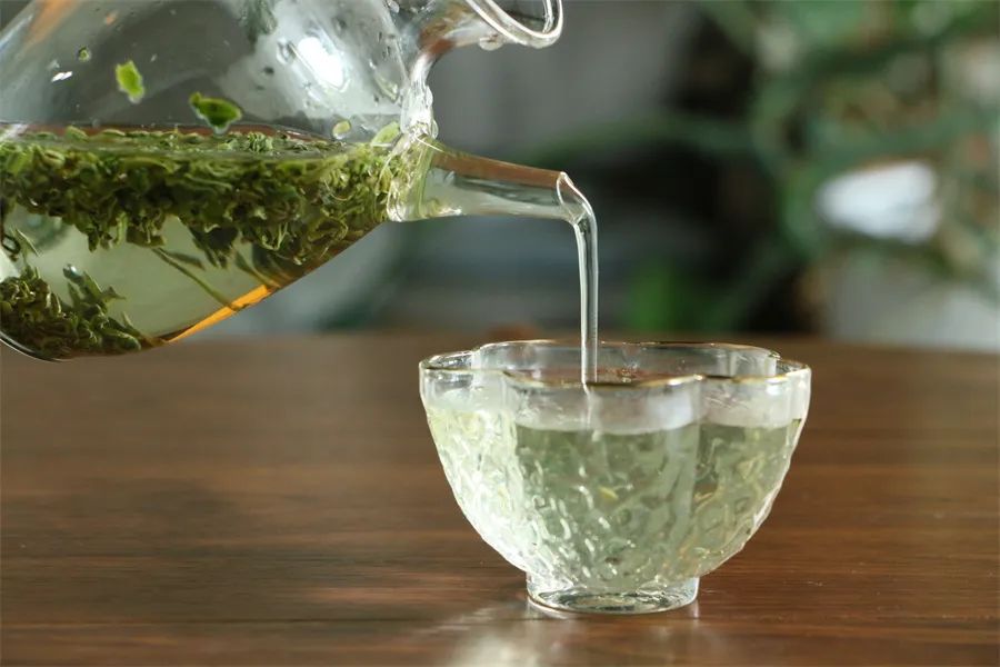 新手喝茶，该挑哪些茶？