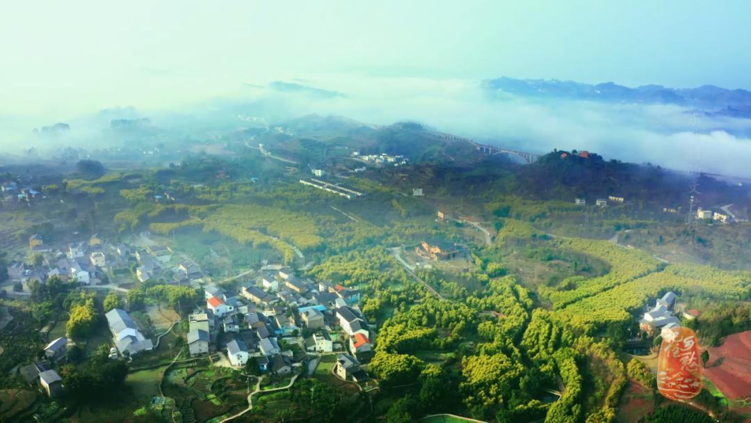 一人一艺，一户一品，来重庆东升村，体验一把文艺范儿生活！