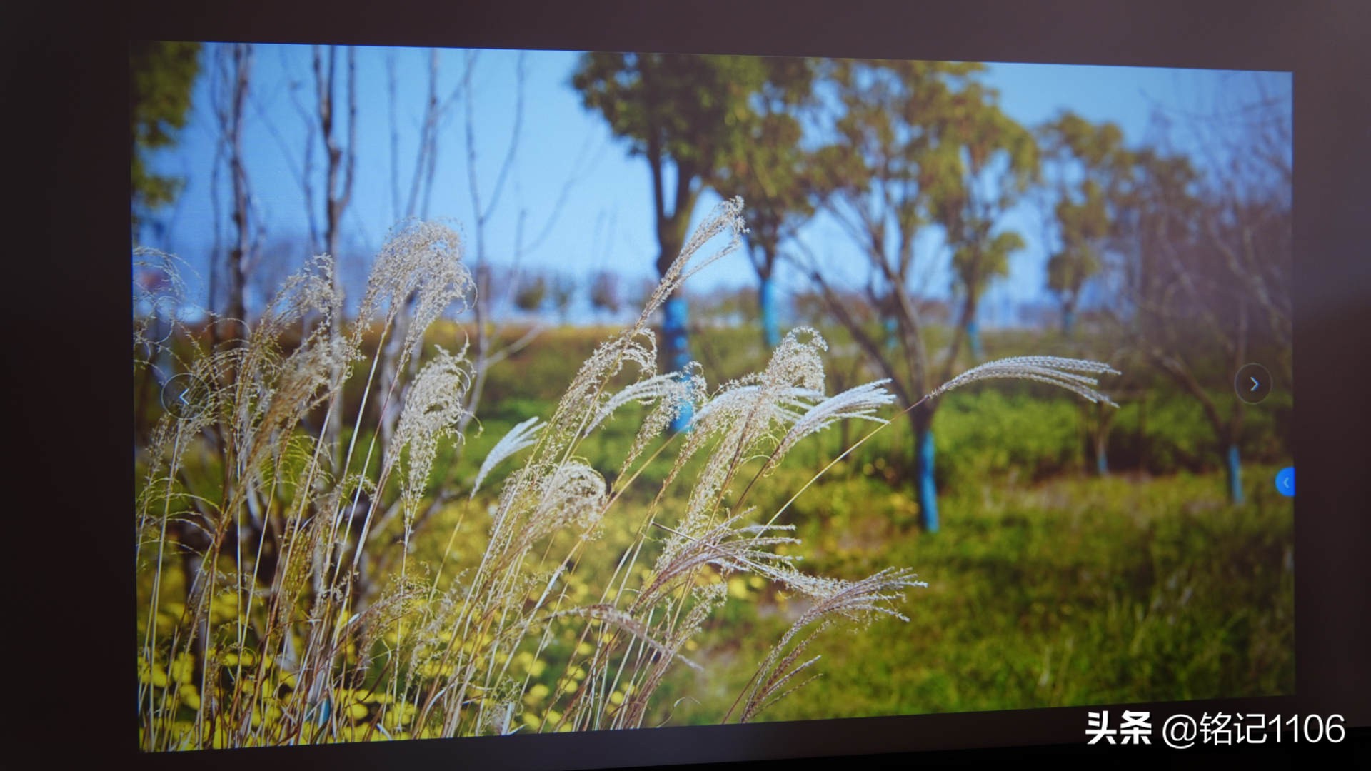 小明q1pro投影仪和米家投影仪,小明q1pro和极米newz6x投影仪哪个好