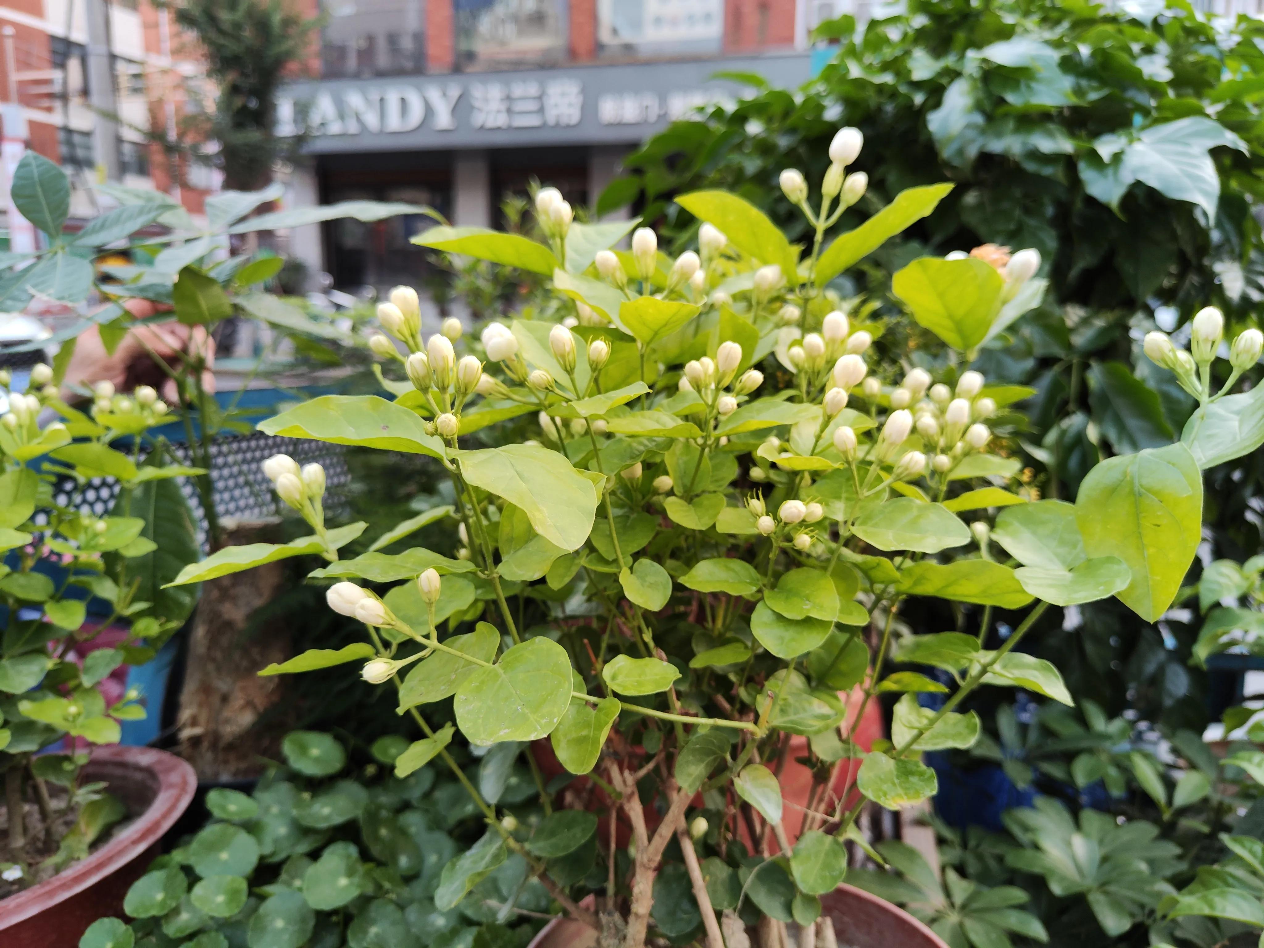 炎热的夏日突然停电了,下雨停电了没有网络怎么办