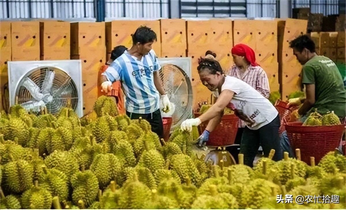 刚上市就暴跌,刚发售就崩盘